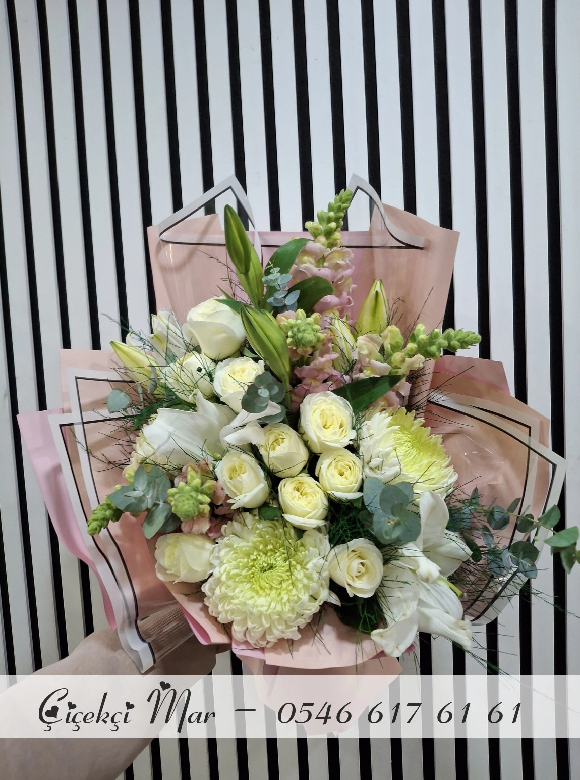 Aslan Ağzı Ve Anastasia Beyaz Gül