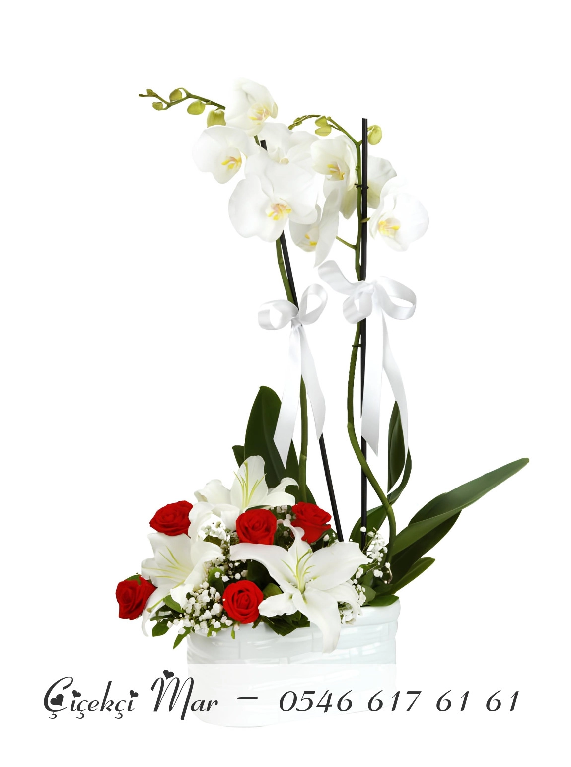 Çift Dallı Orkide ve Seramikte Güller