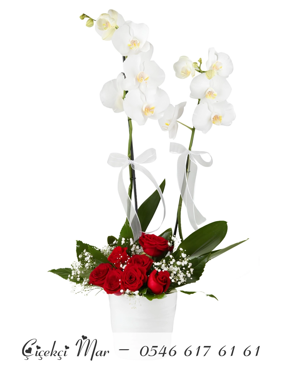 Güller ve Çift Dallı Orkide