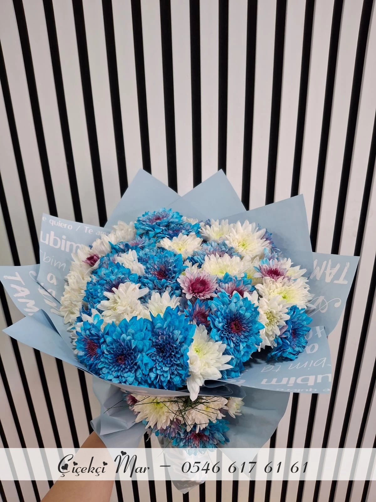 Kasımpatı Buketi Büyük Boy Mavi