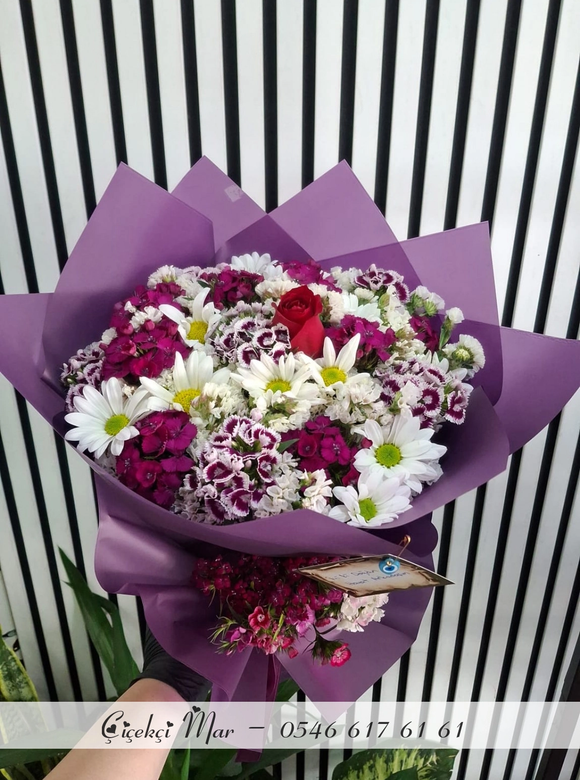 Kır Bahçemin Gülü 🌹