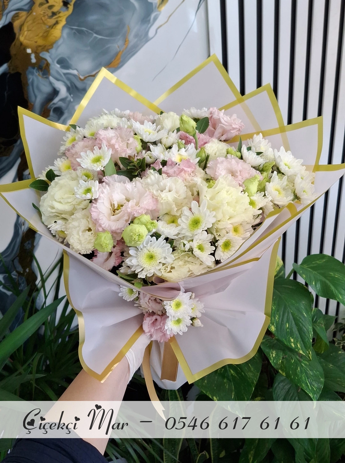 Lisyantus Ve Papatya