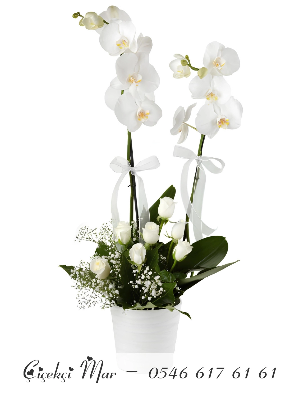 Seramik Vazoda Çift Dallı Beyaz Orkideler