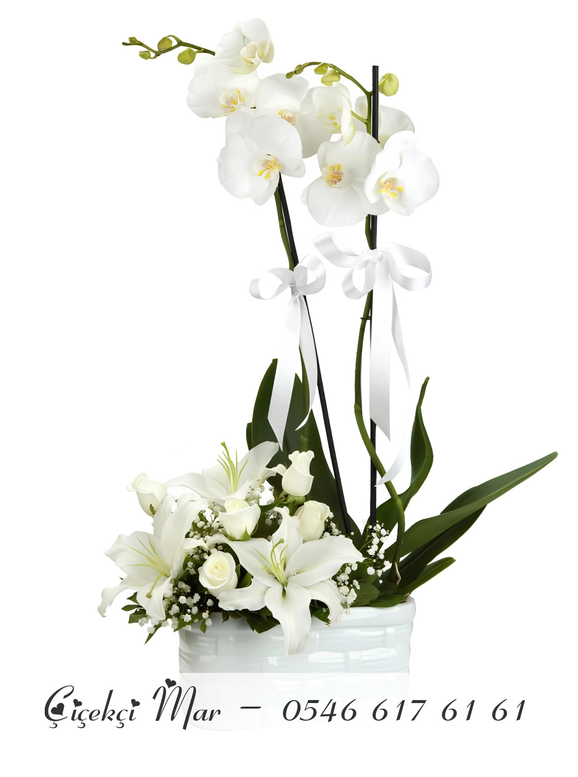 Seramikte Çift Dallı Beyaz Orkide