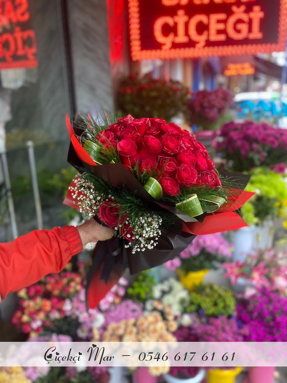 Tek Gül 🌹