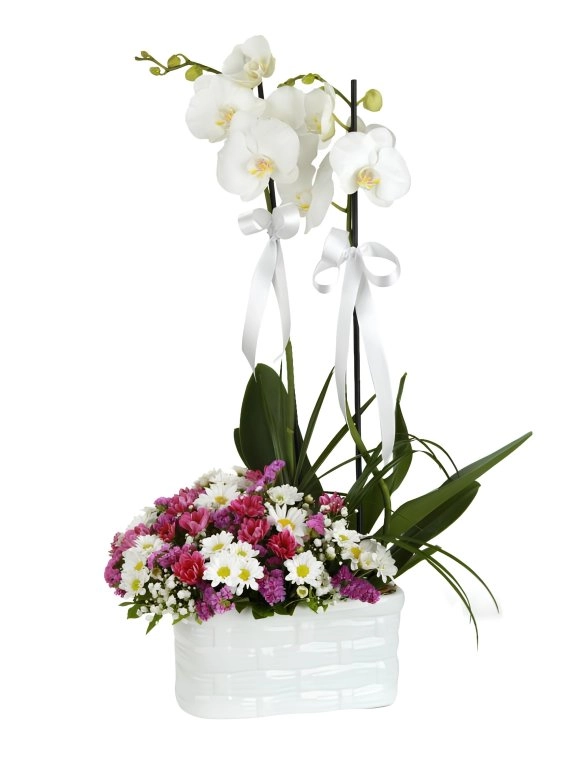 Çift Dal Orkideli Bahar Aranjmanı