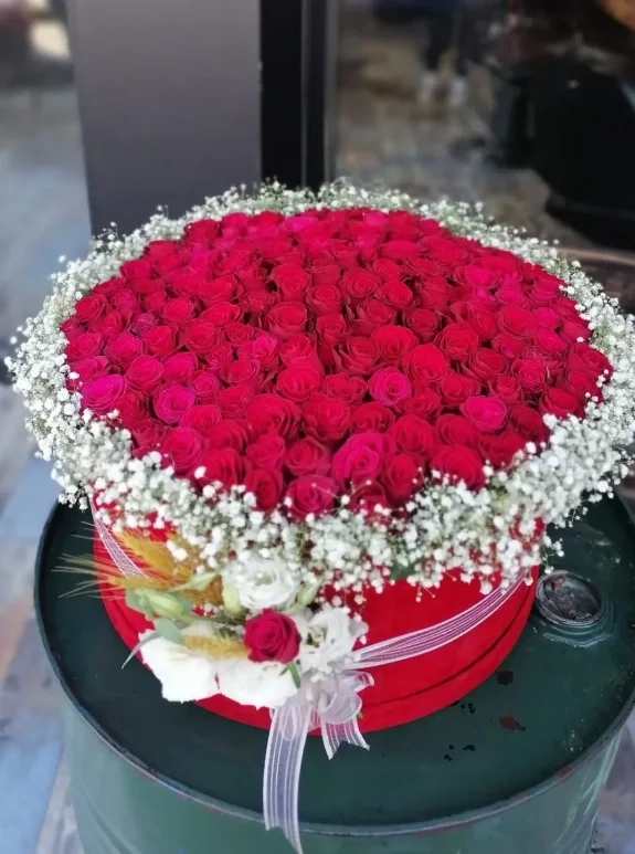 Kutuda Gül